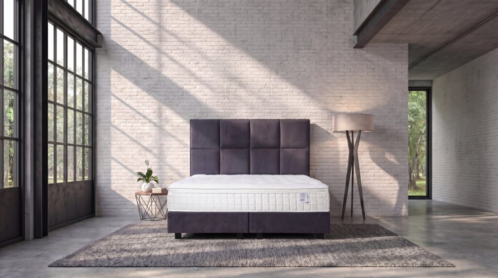 Sleep Sense DALLAS